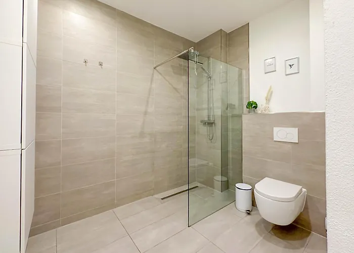 Apartment Modernes Trierer Cityloft Mit Großem Balkon Trier